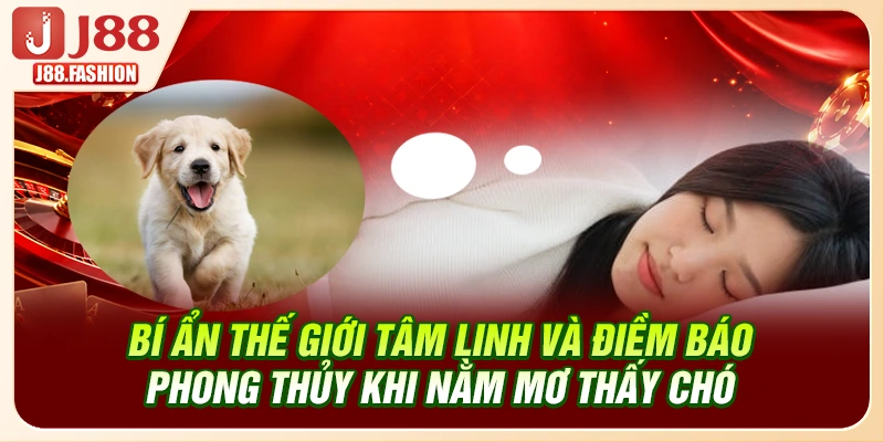 Bí ẩn thế giới tâm linh và điềm báo phong thủy khi nằm mơ thấy chó